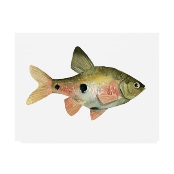 Trademark Fine Art Emma Scarvey 'Rainbow Fish Iii' Canvas Art, 18x24 WAG11667-C1824GG